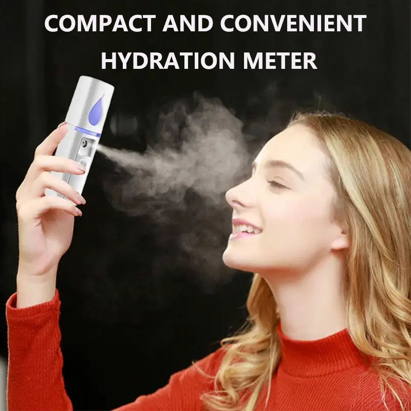 Mini Nano Facial Mister Face H - Face Steamer recension och pris